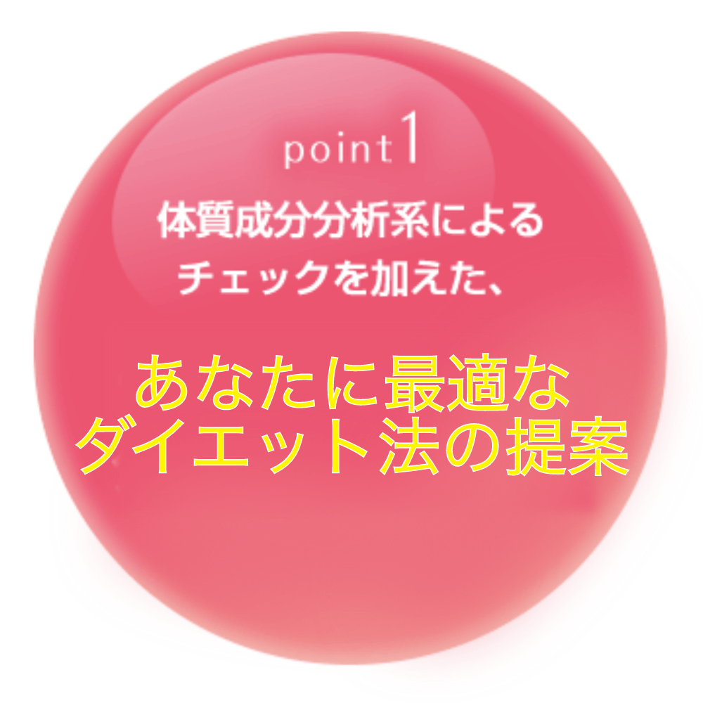 最適なダイエット法の提案
