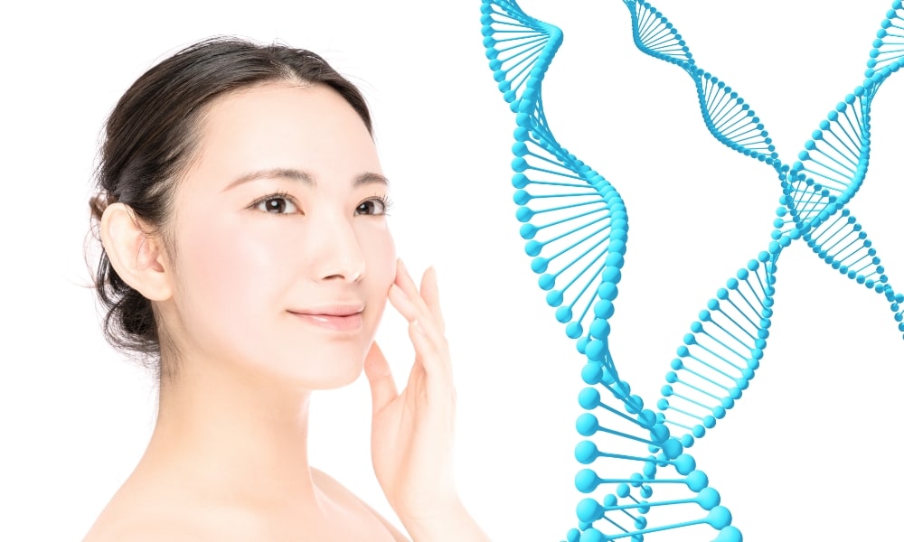 遺伝子と痩せる女性の関係2