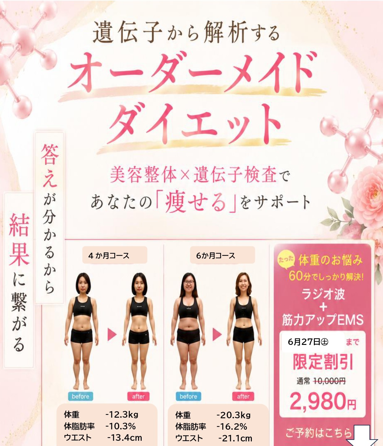 みたけ院ダイエット令和8年6月